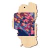 Lake Tahoe Ornament Thumbnail