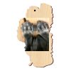 Lake Tahoe Ornament Thumbnail